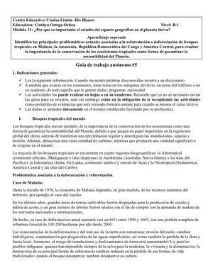 Gta #5 B Mod 31 Blanco