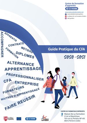 Guide Pratique Du CFA