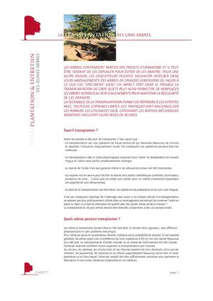 Transplantation gros arbres