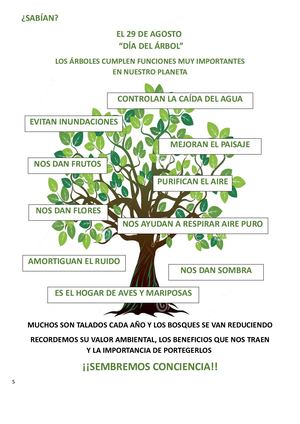 29 de Agosto "Dia Del ÁRBOL"