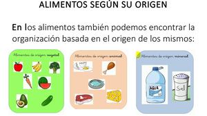 Alimentos Según Su Origen