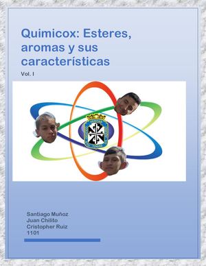 Revista Quimicox Vol I