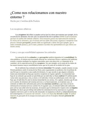 ¿Como Nos Relacionamos Con Nuestro Entorno