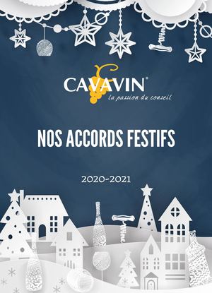 Catalogue CAVAVIN 2020 Web