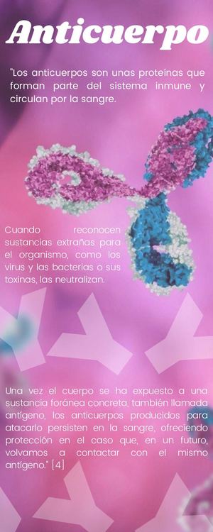 Anticuerpo