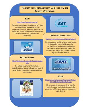 Páginas De Un Contador