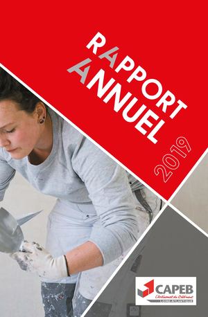 RAPPORT ANNUEL CAPEB 2019