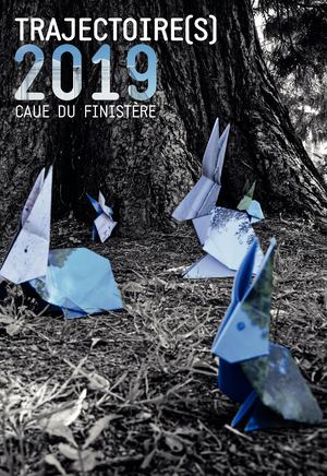Rapport d'activité 2019 - CAUE du Finistère