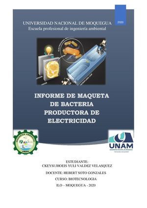 Informe De Maquetta De La Bacteria De Electricidad
