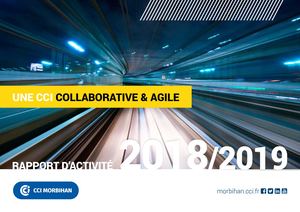 Rapport d'activité 2018 CCI Morbihan