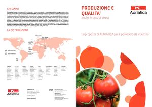 Brochure Pomodoro Ita