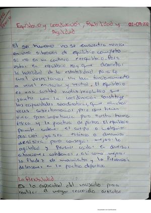 Tarea De Educación Física De Equilibrio Y Coordinación, Flexibilidad Y Agilidad En Voleibol