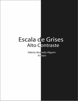 Escala de Grises