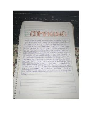 Comentario Sobre Video, Sociología