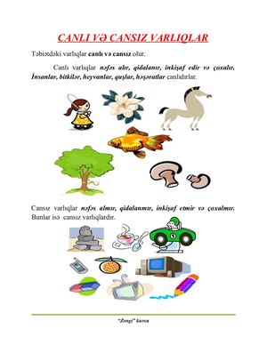Canli Ve Cansiz