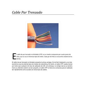 Cable Par Trenzado Blindado