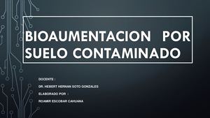 Bioaumentacion Suelo Contaminado