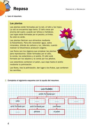 Repaso Naturales 4º