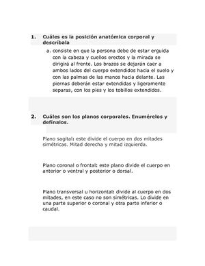 Posición Anatómica Corporal Y Descríbala