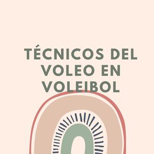 Técnicos Del Voleo En Voleibol