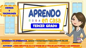 ¿CÓMO INFLUYE EL DÍA Y LA NOCHE EN LA VIDA DE LAS PLANTAS Y LOS ANIMALES?