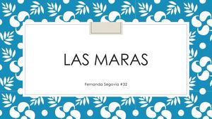 Las Maras Causas Y Consecuencias