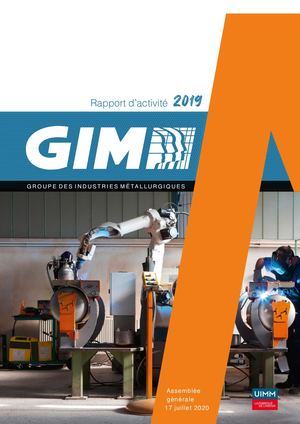 Rapport d'activité 2019 du GIM