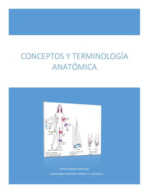 Conceptos Y Terminos Anatomicos Solucion De Preguntas
