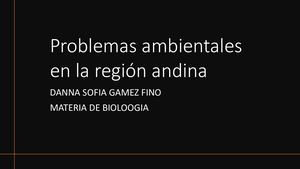 Problemas Ambientales En La Región Andina