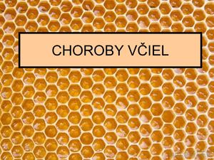 Choroby Včiel