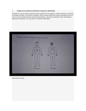 Posiciones Anatomicas