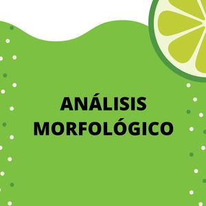 Analisis Morfologico