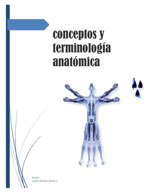 Terminos Anatomia Radiologica Laura Ibañez