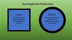 Sociologia y sus Ramas