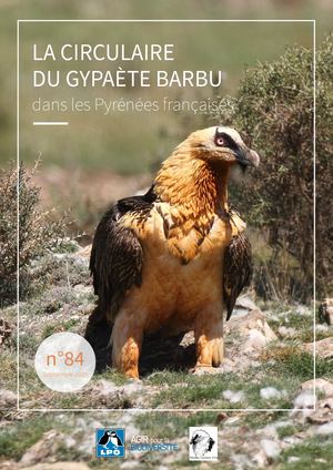 Circulaire Gypaète barbu 09/2020
