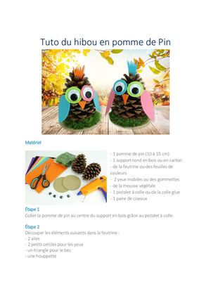 Tuto dd Hibou en pomme de Pin