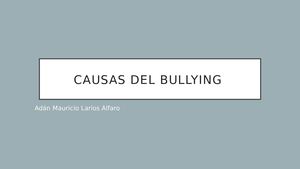 Causas Del Bullying