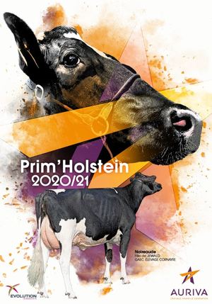 Catalogue Prim'Holstein 2020-2021