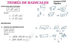 Teoría De Radicales