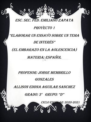 EL Embarazo En La Adolecencia