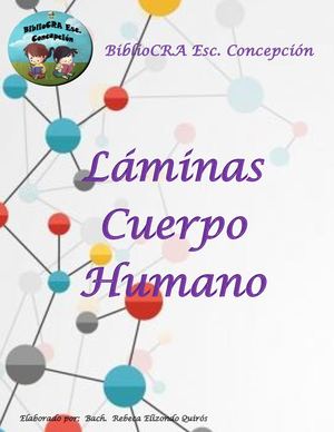 Laminas Cuerpo Humano