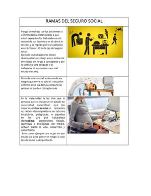 Ramas Del Seguro Social