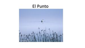 El Punto como elemento compositivo en la fotografía