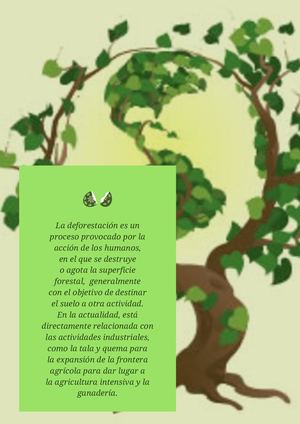La Deforestación Es Un Proceso Provocado Por La Acción De Los Humanos, En El Que Se Destruye O Agota La Superficie Forestal, Generalmente Con El Objetivo De Destinar El Suelo A Otra Actividad En La Actualidad, Está