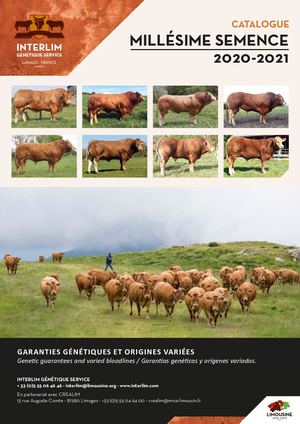 Catalogue Millésime Semence 2020/2021