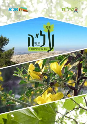 עלה 2 כתב העת לרכזי טיולים