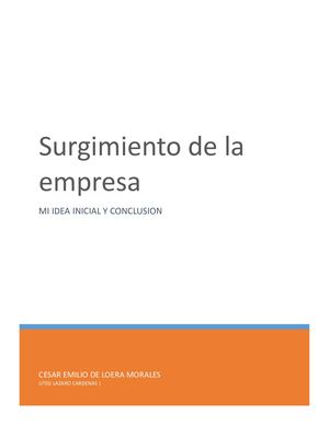 Surgimiento De La Empresa