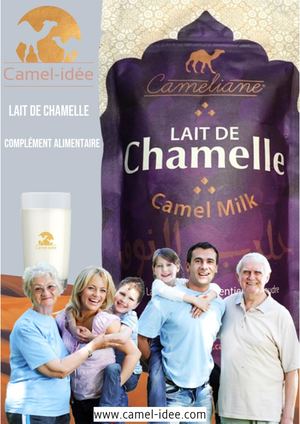 Camel Idee