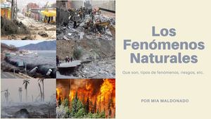 Revista Desastres Naturales