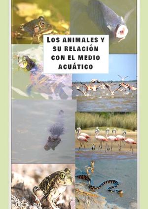 Los animales y el medio acuático